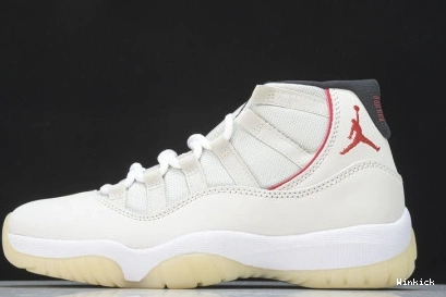 TINT JORDAN 378037-016 AIR 11 PLATINUM 0710